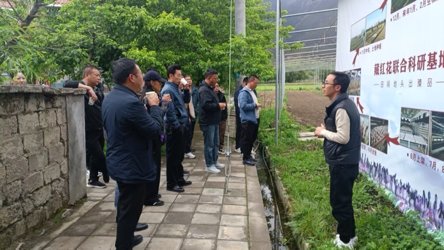 藏红花联合科研基地（产业/科研背书）