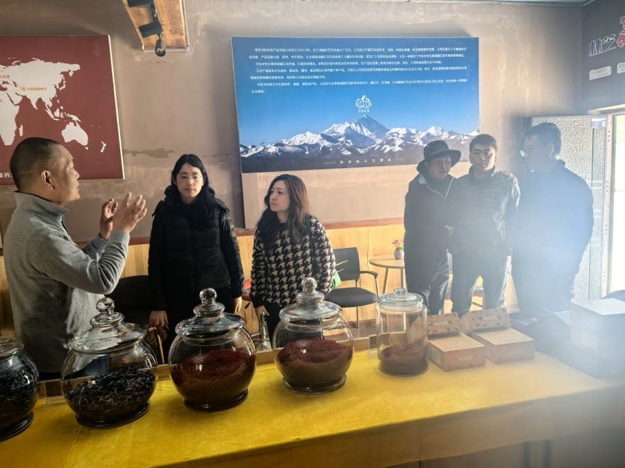 国家发改委在基地（政策背书）